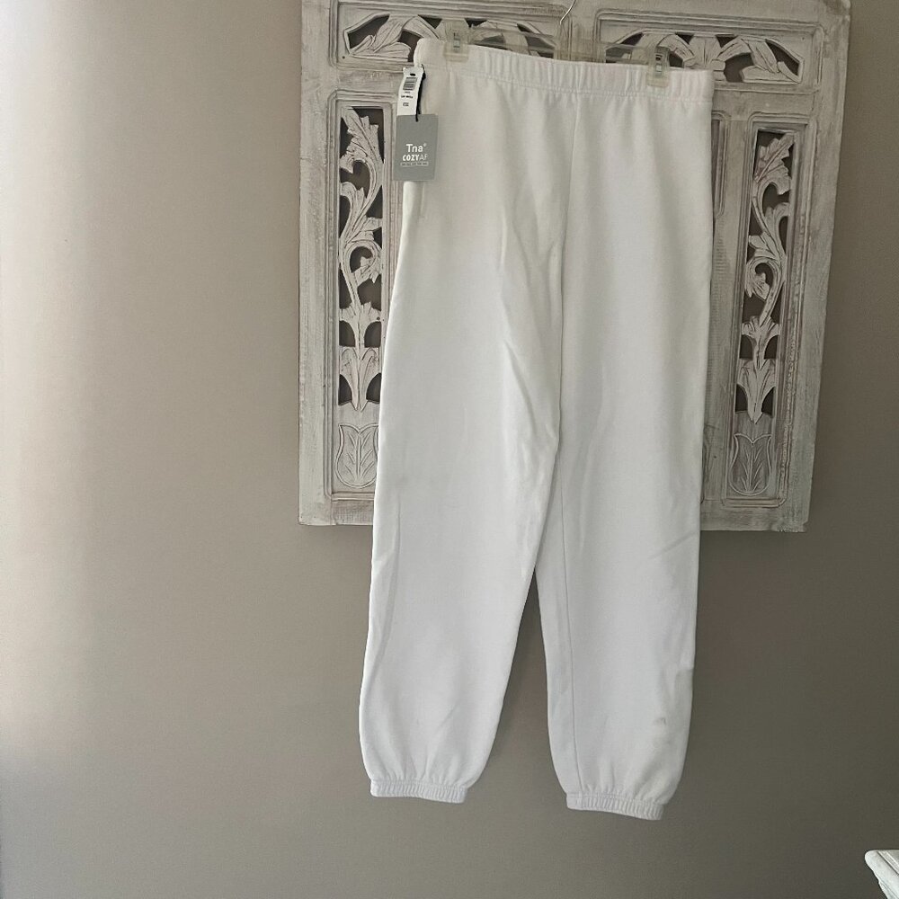 Aritzia - TNA Cozy AF Fleece pants